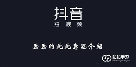 北北 意思|北北是什么意思